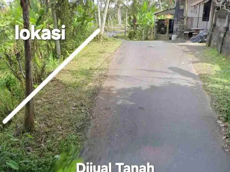 Jual Tanah kebun 33,6are jalan 8 aspal di Payangan Gianyar Ubud Bali - Real Estate in Bali