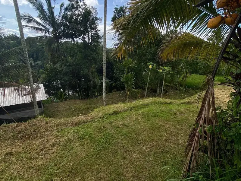 Land for sale in Tegallalang, Bali - Real Estate in Bali
