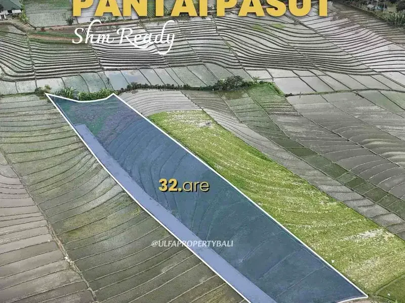 Dijual Tanah Pariwisata SHM 37 Are View Sawah dan Pantai Pasut Bali - Real Estate in Bali