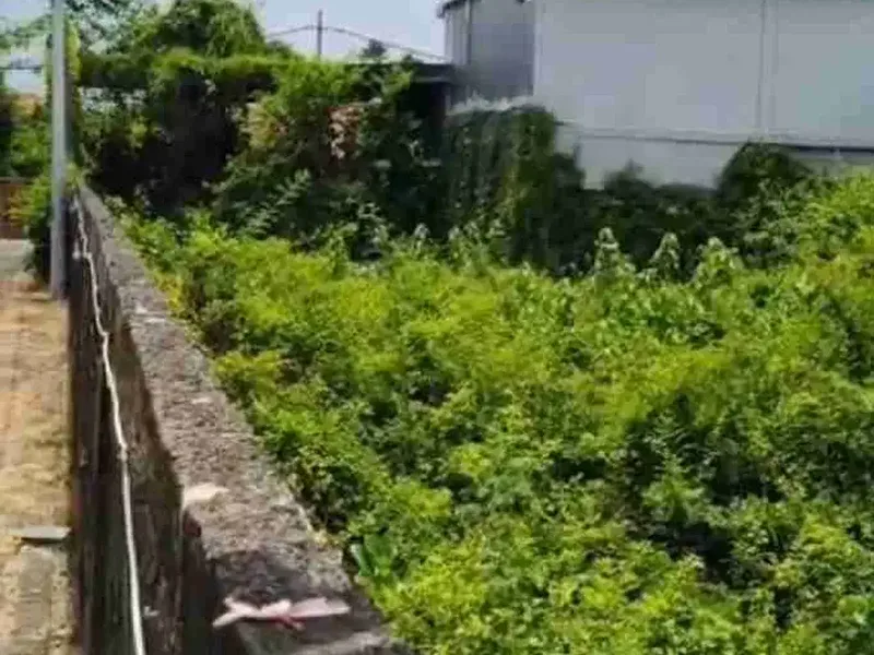 Tanah bumi ayu sanur bali - Real Estate in Bali
