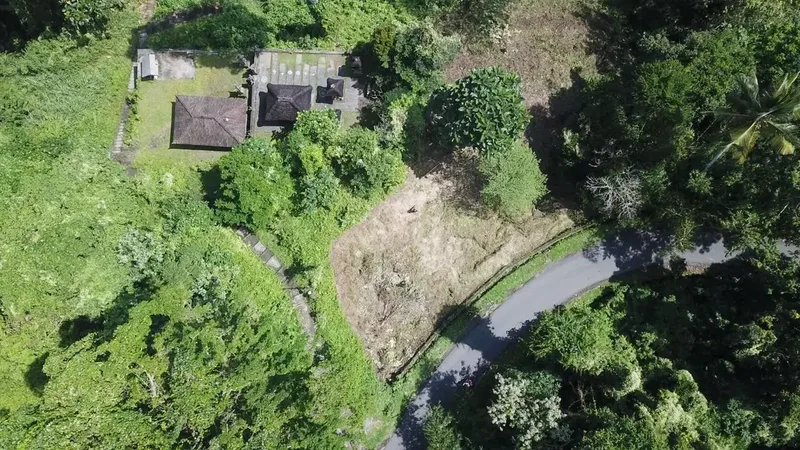 BUC Tanah Bonus Bangunan Villa di Tegallalang Gianyar - Real Estate in Bali