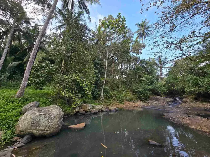 Murah tanah los sungai bebatuan kebun manggis dan durian siap panen di bali - Real Estate in Bali