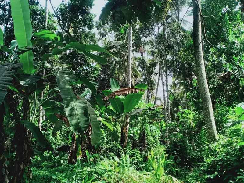 Leasehold - Land Near Kaba-Kaba,Tabanan- Perfect for Villa Development - Bali in Bali