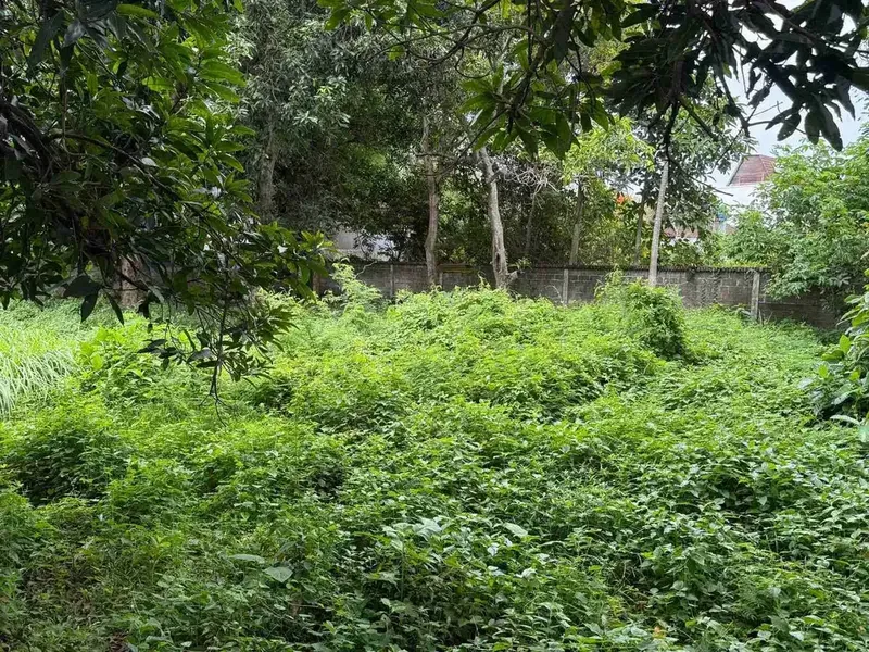 Tanah Premium Dekat Pantai Jimbaran Tuban Kuta - Bali in Bali