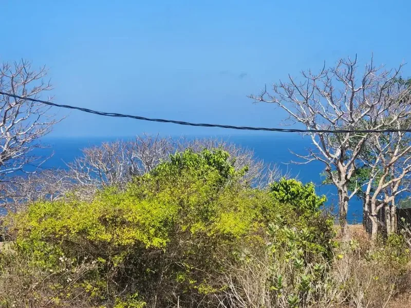 Dijual Lahan Premium 2,5 Hektar Zona Pariwisata Dekat Pantai Pandawa Bali – Cocok untuk Villa Resort dan Investasi - Bali in Bali