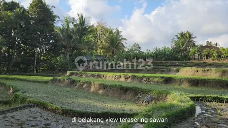 Tanah Komersial Langka Dekat Capella Ubud View Sawah - Real Estate in Bali