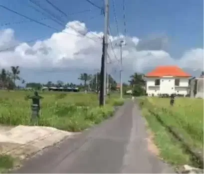 Dijual Tanah View Sawah Dekat ke Central Ubud - Real Estate in Bali