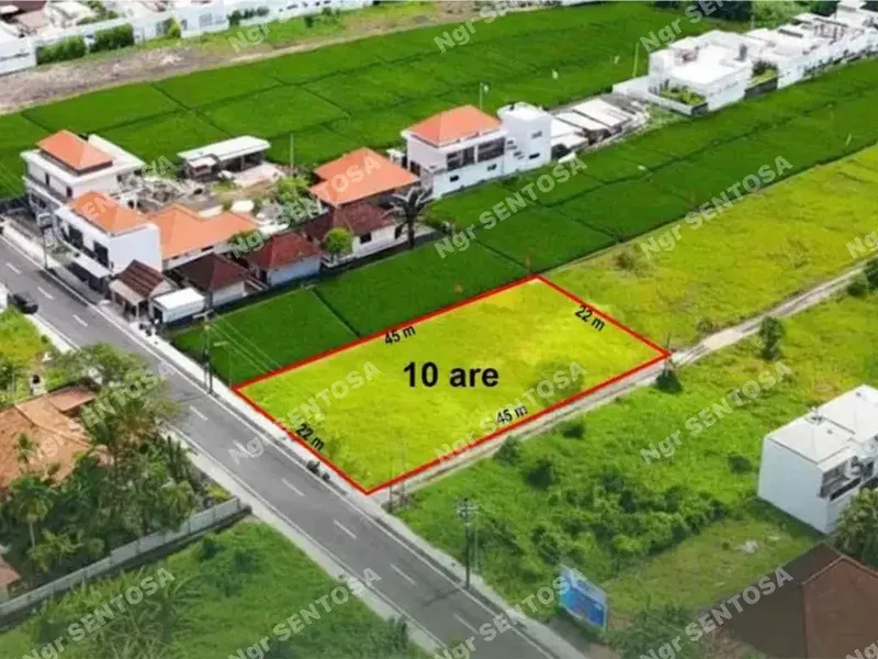 TANAH CEMAGI 200 METER PANTAI JALAN UTAMA LANGKA - Real Estate in Bali