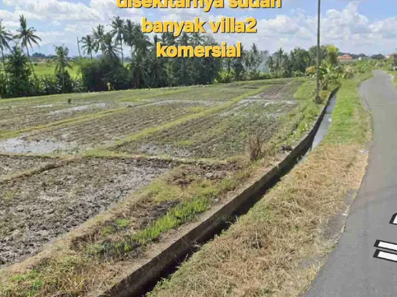 Jual Tanah 34,15are jln raya Kaba Kaba area Munggu Bali - Bali in Bali