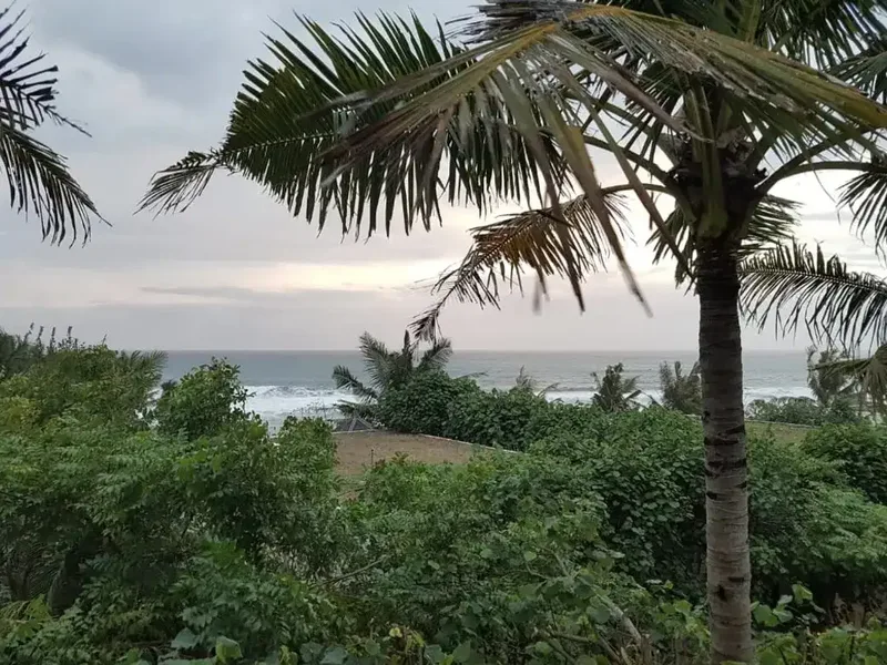 FOR SALE LAND PREMIUM OCEAN VIEW GIANYAR - Real Estate in Bali