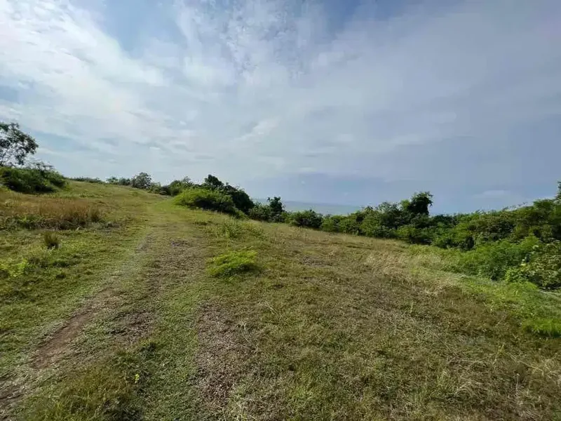 Dijual Tanah Los Tebing Berliannya Pecatu
Lokasi - Jalan New Kuta Raya - Real Estate in Bali