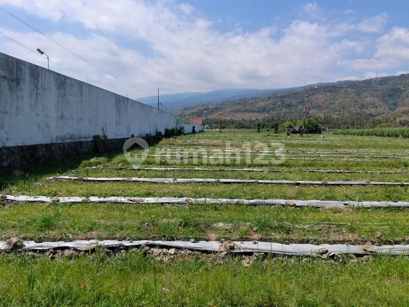Tanah Premium Pinggir Jalan Utama Temukus - Seririt - Bali in Bali