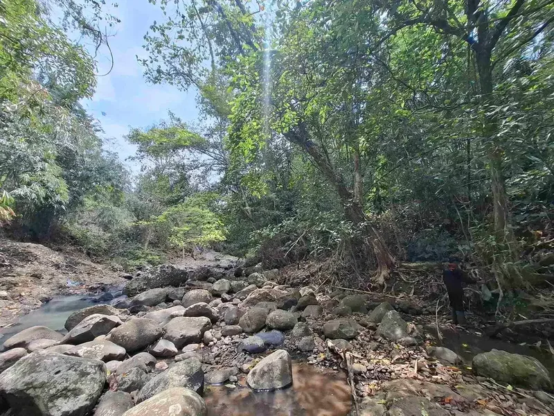 Dijual tanah kebun los sungai lokasi sangat strategis dekat dengan fasilitas umum dan tempat wisata di tabanan bali - Bali in Bali