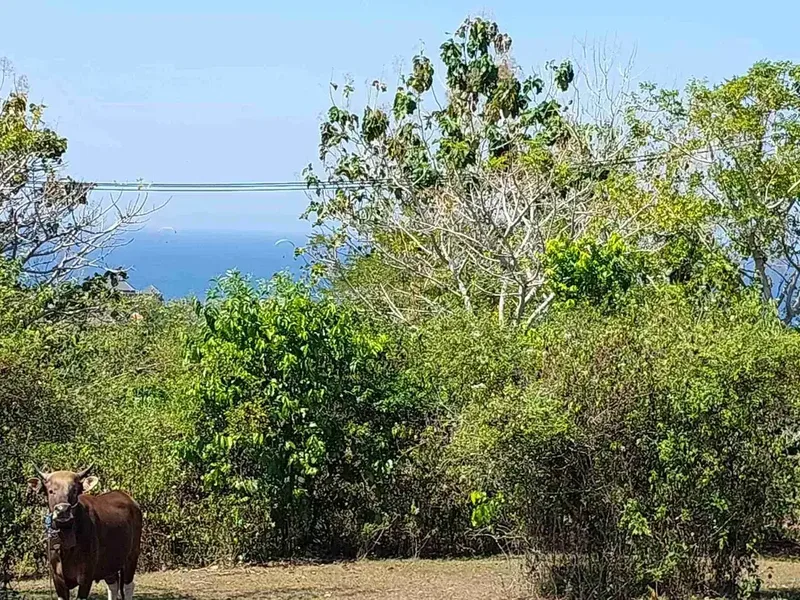 DIJUAL TANAH PREMIUM UNBLOCK VIEW, NUSA DUA - Bali in Bali