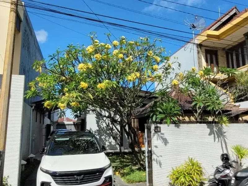 JUAL RUMAH MODERN FURNISHED DALAM KOMPLEKS IMAM BONJOL - Real Estate in Bali