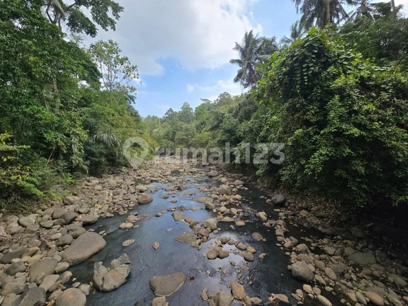 Dijual Tanah Murah Los Sungai Cantik di Tabanan Bali - Real Estate in Bali