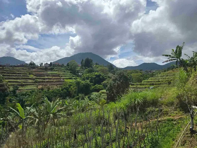 Dijal tanah murah view gunung laul dan lembah di bedugul bali - Real Estate in Bali