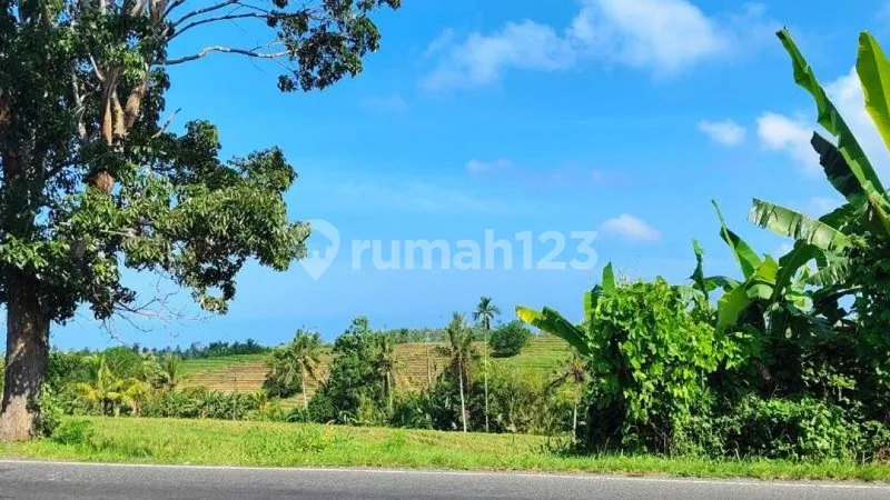 Tanah Raya Denpasar Gilimanuk Selemadeg Tabanan - Bali in Bali