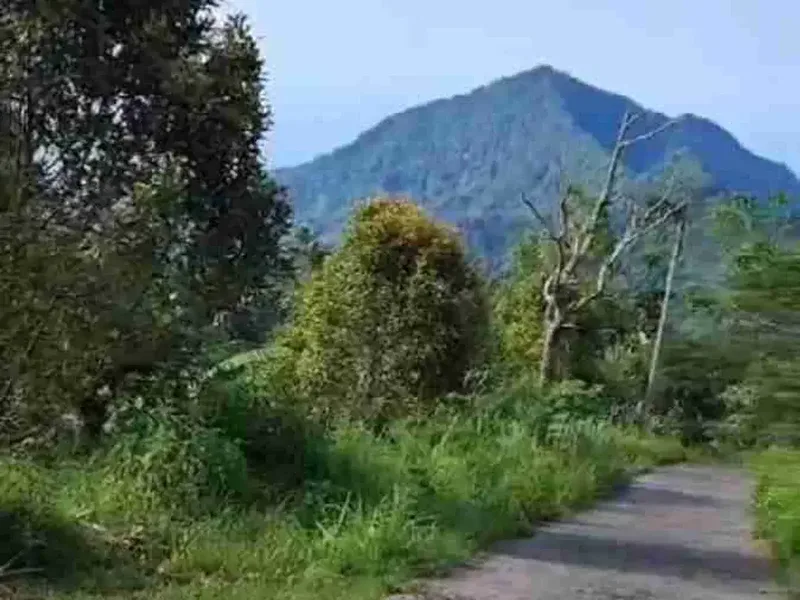 Tanah Strategis cocok untuk villa dekat Tower Turyapada - Real Estate in Bali