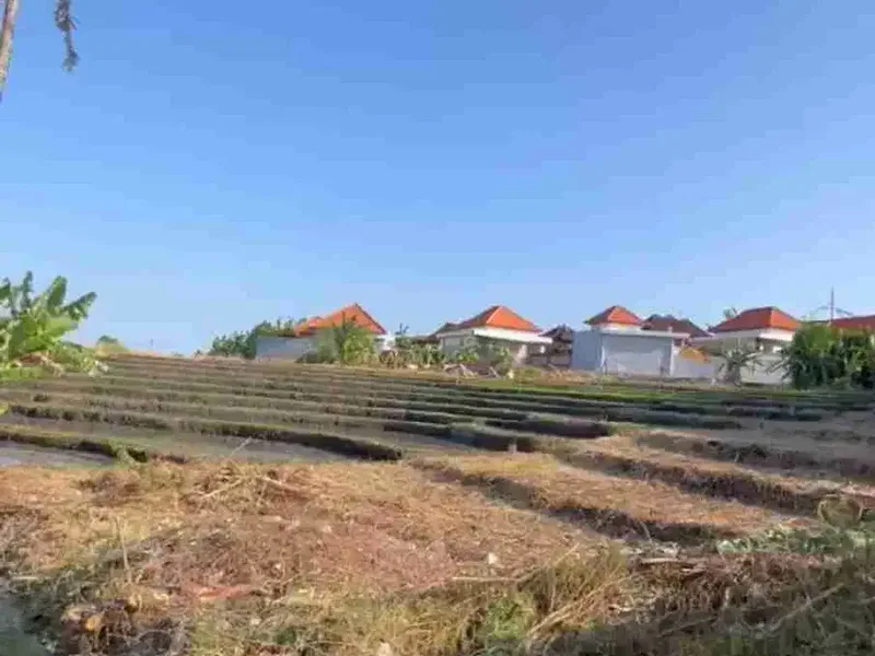SALE!! TANAH PREMIUM VIEW SAWAH 450m² Jl.UTAMA SUBAK DAKSINA CANGGU - Bali in Bali