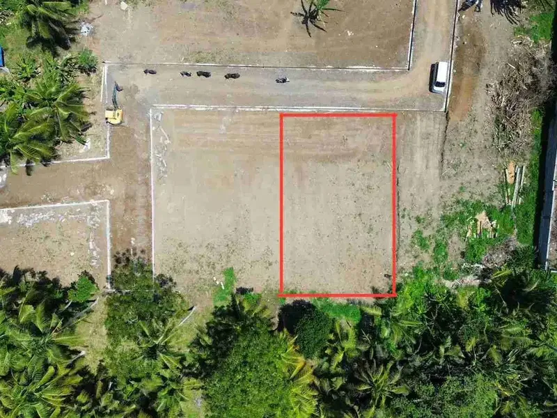Tanah 300m² View Jungle di Sakah Ubud Gianyar - Real Estate in Bali
