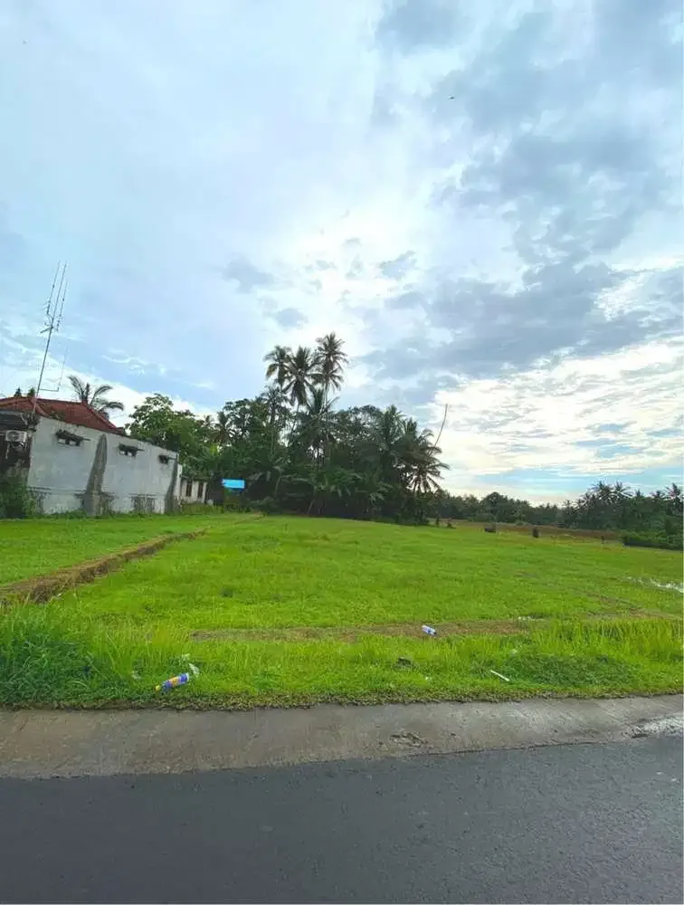 DIJUAL TANAH SAWAH LOS SUNGAI TABANAN - Real Estate in Bali