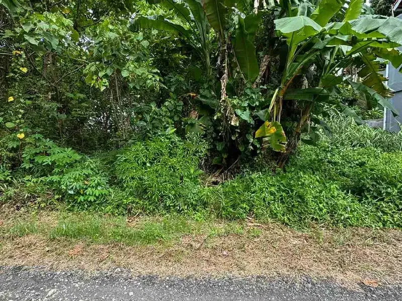 Tanah 200m² Lingkungan Villa Lotunduh Ubud - Bali in Bali