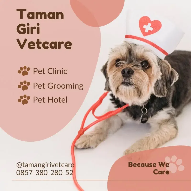 Dokter Hewan dan Petshop di Jimbaran Nusa Dua vaksin steril kastrasi - Other in Bali