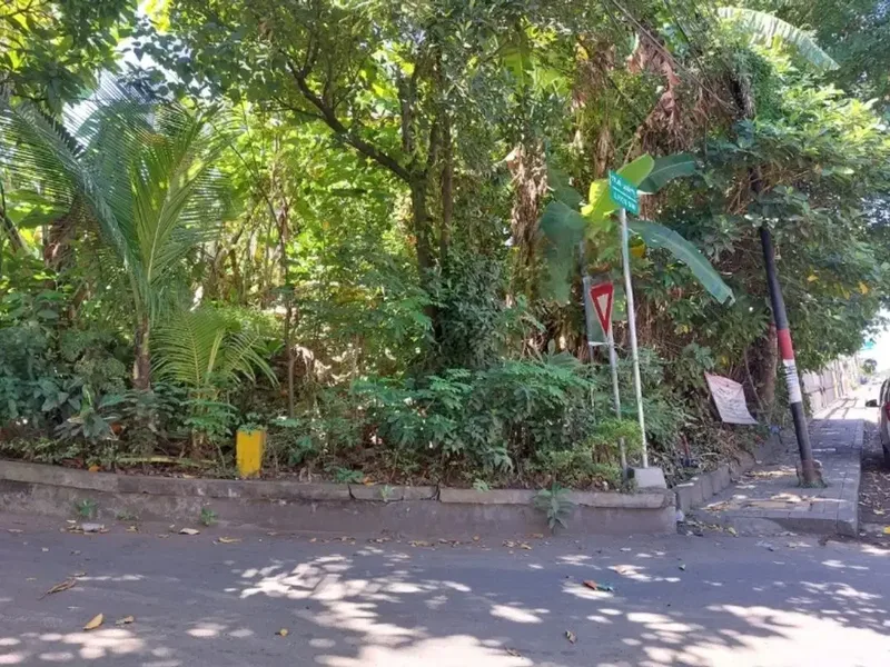 Tanah Hook Dekat Dyatmika School di IB Mantra - Real Estate in Bali