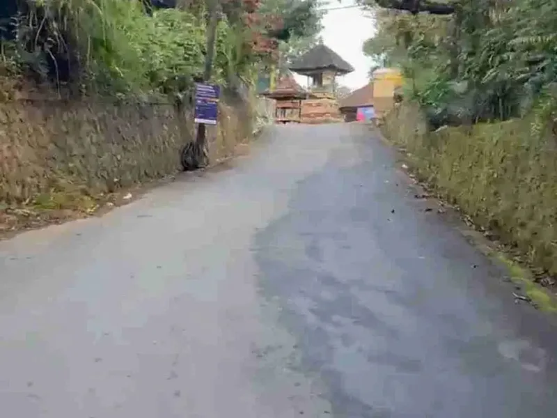 Tanah Murah Los Sungai Begawan Giri Payangan Ubud Bali - Real Estate in Bali