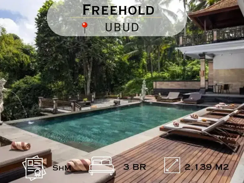 Boutique Hotel with Jungle Views for Sale – Ubud - Real Estate in Bali