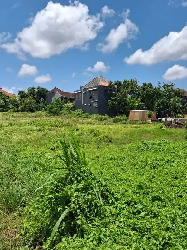 tanah kontrak di kedampang zona kuning - Real Estate in Bali