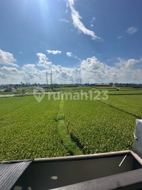 Rumah Dekat Sanur dan Denpasar View Sawah Dkt Pantai - Real Estate in Bali