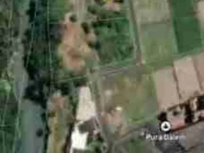 Lahan premium 3 are zona pink Pariwisata Dekat pantai ketewel - Real Estate in Bali