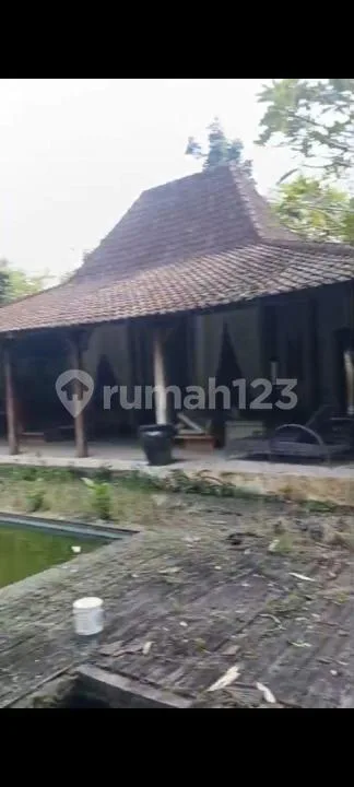 Jual Tanah Bonus Vila Kayu Kolam Renang Siap Renovasi - Real Estate in Bali