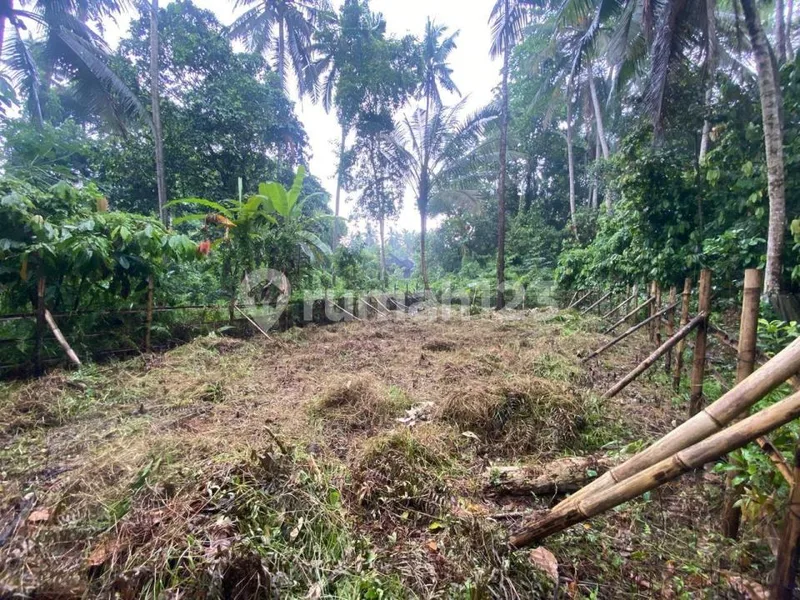 Termurah Singakertha Ubud Zona Kuning Siap Bangun - Real Estate in Bali