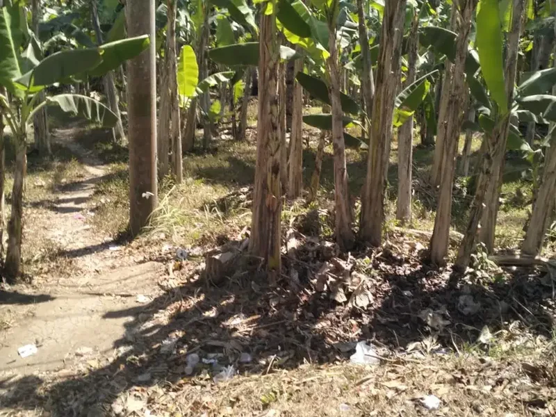 DIJUAL TANAH STRATEGIS – PANGYANGAN, JEMBRANA - Bali in Bali