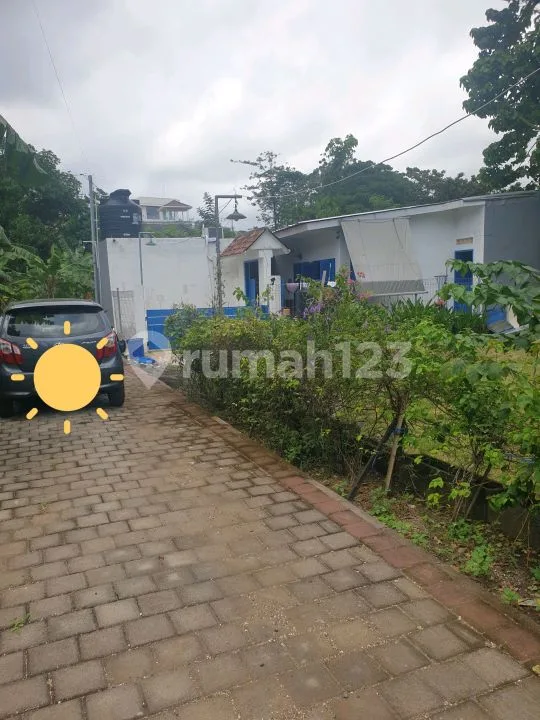 House Pet Friendly For Rent At Pecatu, Near Dreamland Beach - Real Estate in Bali
