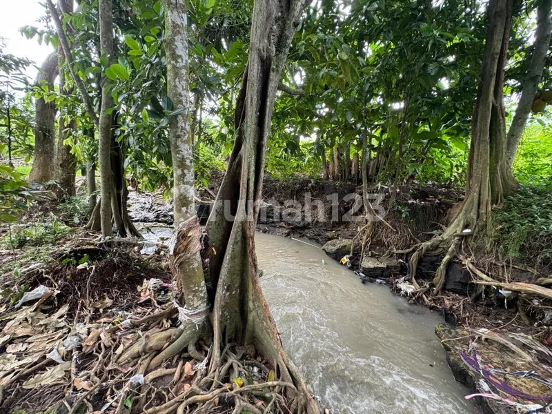 Dijual Cepat Tanah Los Sungai View Sawah di Tanah Lot, Tabanan - Bali in Bali