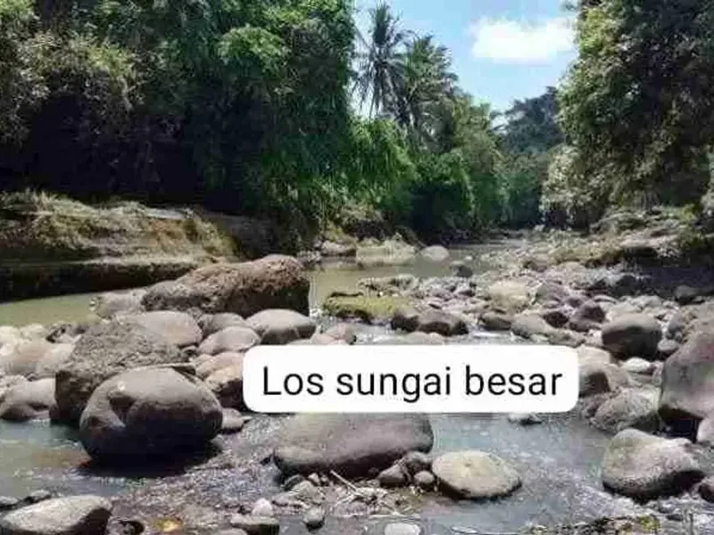 jual tanah los sungai  lok di kerambitan.12,20 are harga 150/ are ngoo - Bali in Bali