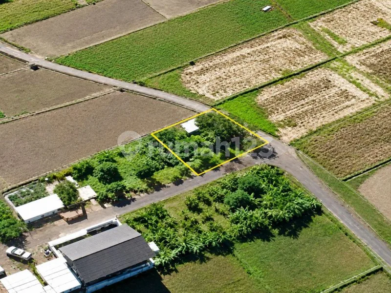 Tanah 215 MÂ² di Kedungu Tabanan View Sawah Lingkungan Villa - Bali in Bali