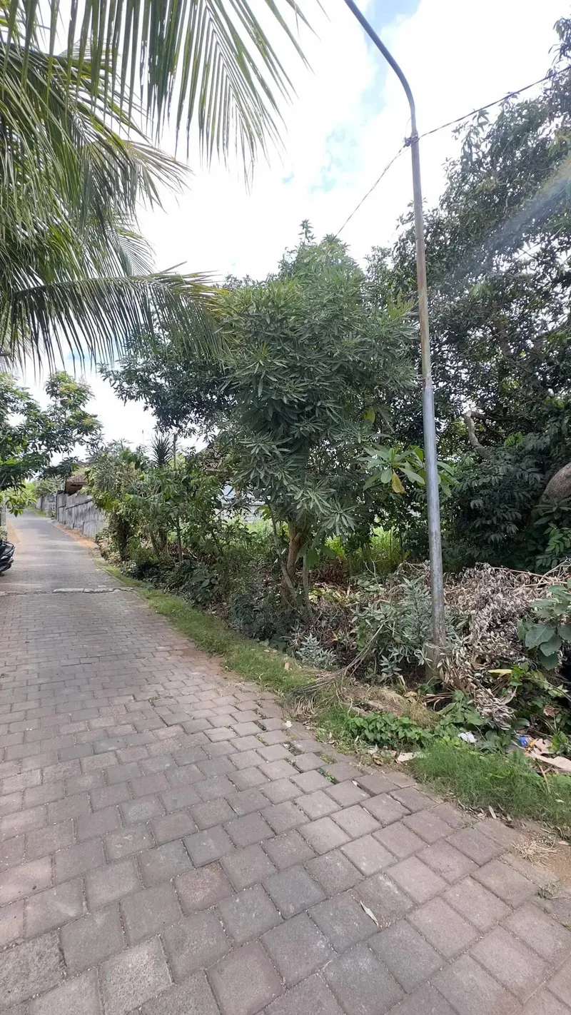 Dijual Tanah Plot Kecill 200m2 di Kawasan Bingin Uluwatu Bali - Real Estate in Bali