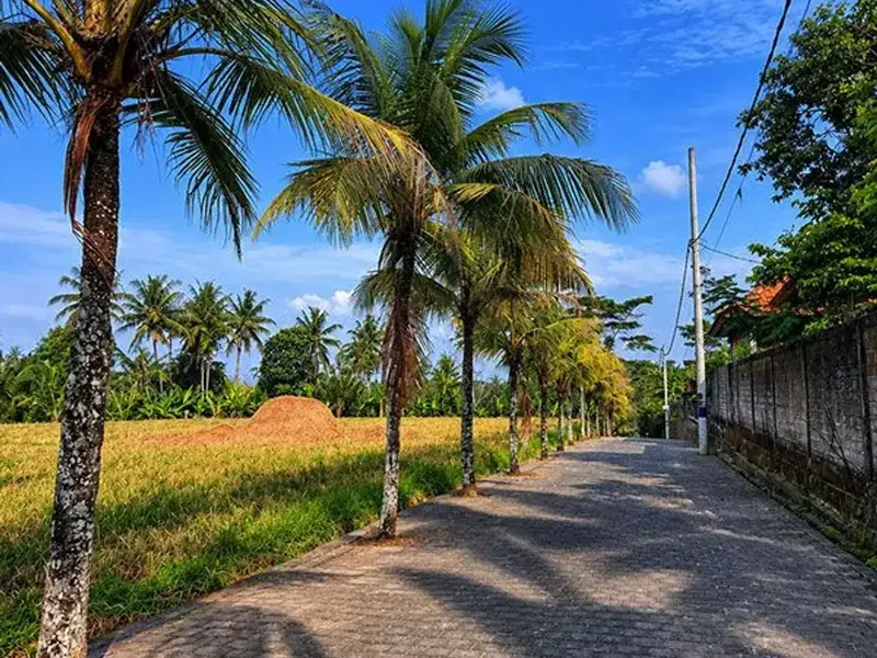 [AMS-102.BLR] Dijual Tanah Kavling Siap Bangun - di dalam Perumahan Denbantas Tabanan - Bali in Bali