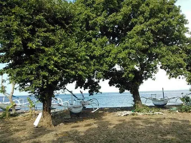 Tanah Beach Front Amed Bali - Real Estate in Bali