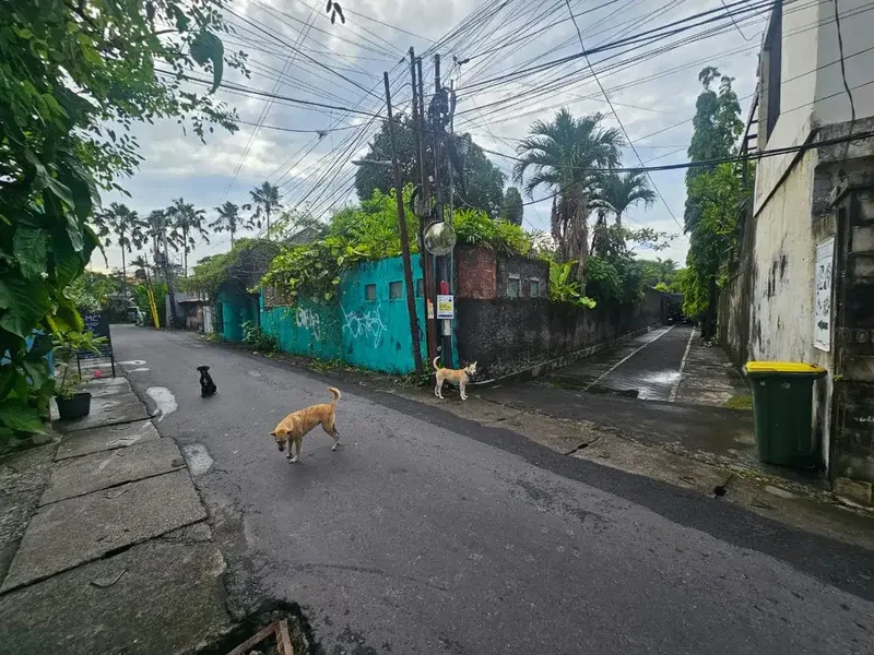 Tanah Petitenget Seminyak Badung - Real Estate in Bali