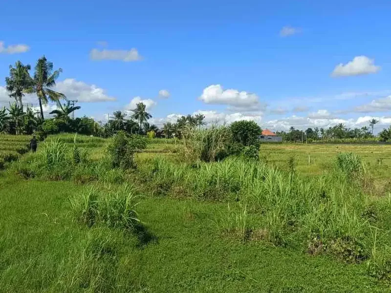 Dijual tanah lokasi pantai nyanyi tabanan Bali,lokasi sebelah barat pantai cemagi - Real Estate in Bali