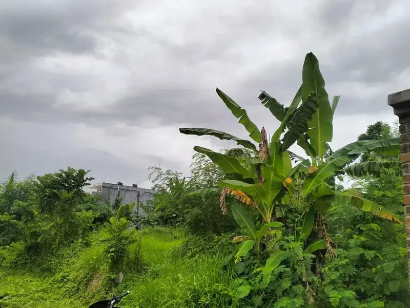 Dijual Tanah Di Lokasi Strategis Dekat Pantai Nyanyi - Bali in Bali