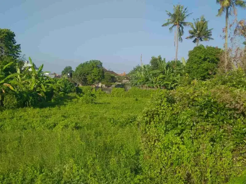 LAND FOR RENT, BUDUK, BADUNG, BALI - Real Estate in Bali