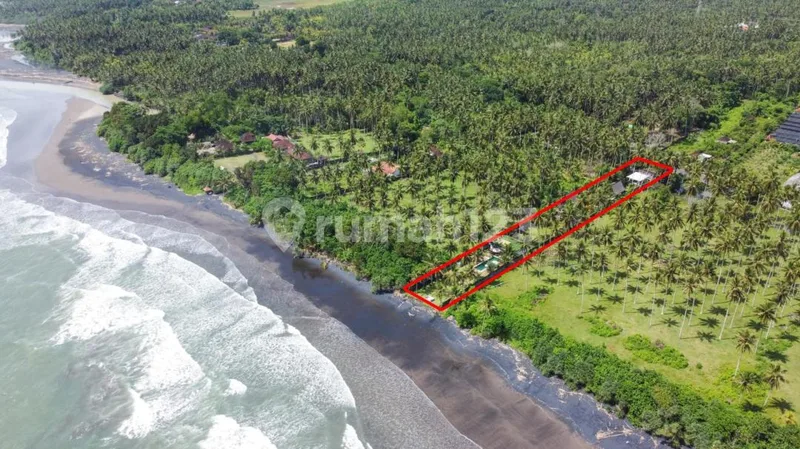 Villa For Sale Pangeragoan Jembrana By Local Property Team - Real Estate in Bali