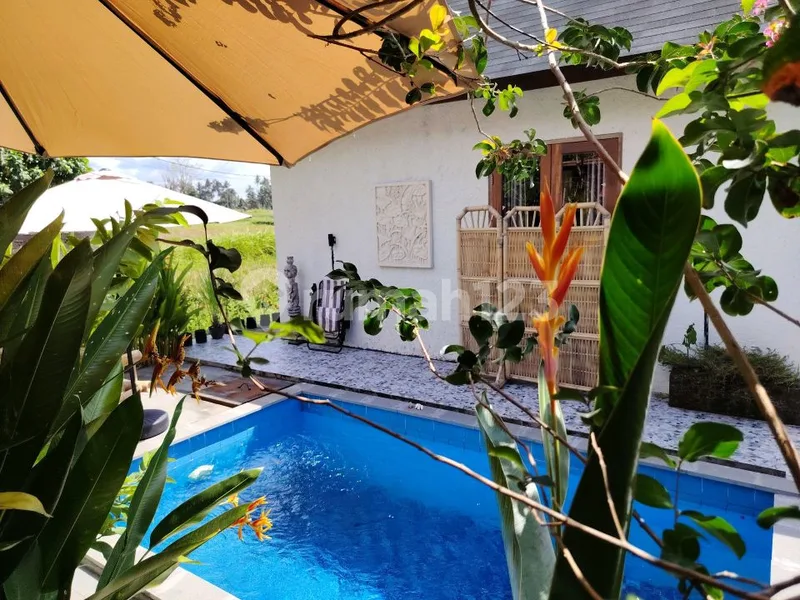 For Rent Villa Rice Field View Ubud 10 Menutes From Mongkey Forest Center Ubud Bali, 40 Menutes From Canggu Nyanyi Beach Canggu 5 Menutes From Rusters Kafe Price 18.000.000 View Very Beuatifulbali - Real Estate in Bali
